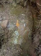 专业探管道掉压有原因  埋地管漏水检测