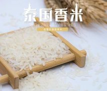 进口泰国大米报关效率操作流程