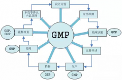 GMP认证辅导|生产与质量负责人的任职与资质要求