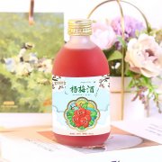 杨梅酒定制代加工生产批发地 瓶装果露酒贴牌OEM/odm批发