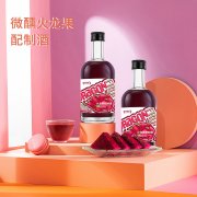 火龙果配制酒代加工生产定制加工厂 瓶装果味露酒贴牌OEM/o