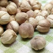 印尼豆蔻报关进口资料整理