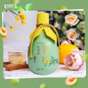 青梅配制酒定制代加工生产批发地 瓶装果露酒贴牌OEM/odm
