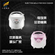 专业模具生产制造厂\电饭锅外壳模具生产厂家 加工电饭锅外壳模