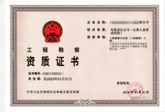 新能源发电乙级资质的最新标准啥时候出来