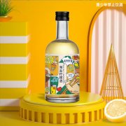 海盐柠檬酒定制代加工生产批发地 瓶装果露酒贴牌OEM/odm