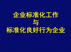 广东三体系认证机构深圳标准化良好行为评价认证