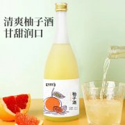 柚子酒代加工生产定制加工厂 瓶装果味露酒贴牌OEM/odm