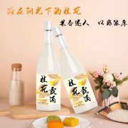 桂花露酒 OEM/odm贴牌代工生产厂家 果酒生产厂家 果酒