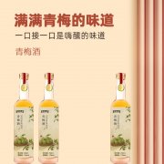 青梅酒定制代加工生产批发地 瓶装果露酒贴牌OEM/odm批发