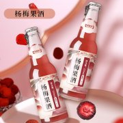 杨梅果酒代工贴牌OEM厂代加工定制生产厂家