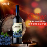 蓝莓配制酒代加工生产定制加工厂 瓶装果味露酒贴牌OEM/od