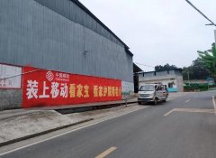 成都手写广告乡村动起来、活起来、火起来