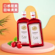 蔓越莓配制酒_代加工生产定制加工厂 瓶装果味露酒贴牌OEM/