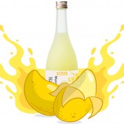 芒果露酒OEM/odm贴牌代工生产厂家 果酒生产厂家 果酒源