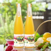 青梅果味酒贴牌代加工定制 OEM/odm厂