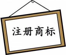 为何商标实质审查耗时较长？
