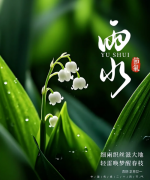 雨水节气与九江双蒸：岭南佳酿的温润情怀