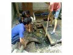 盘龙区专业隔油池清理 化粪池清理 管道清淤 抽粪抽淤泥抽污水