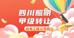 出售上海照明甲级设计公司