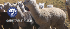 RAS认证咨询羊驼纤维全链条认证体系与RAF整合优势