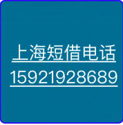 上海押车(上海押家人名下车)(上海压车)