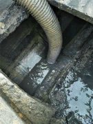 团结乡街道沉淀池清理 污水处理淤泥抽运 市政管道清淤鱼塘清淤