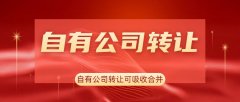 电力一级总承包公司转让