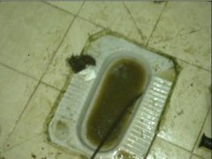昆明五华区专业下水道，厕所，菜池，蹲坑，地漏疏通